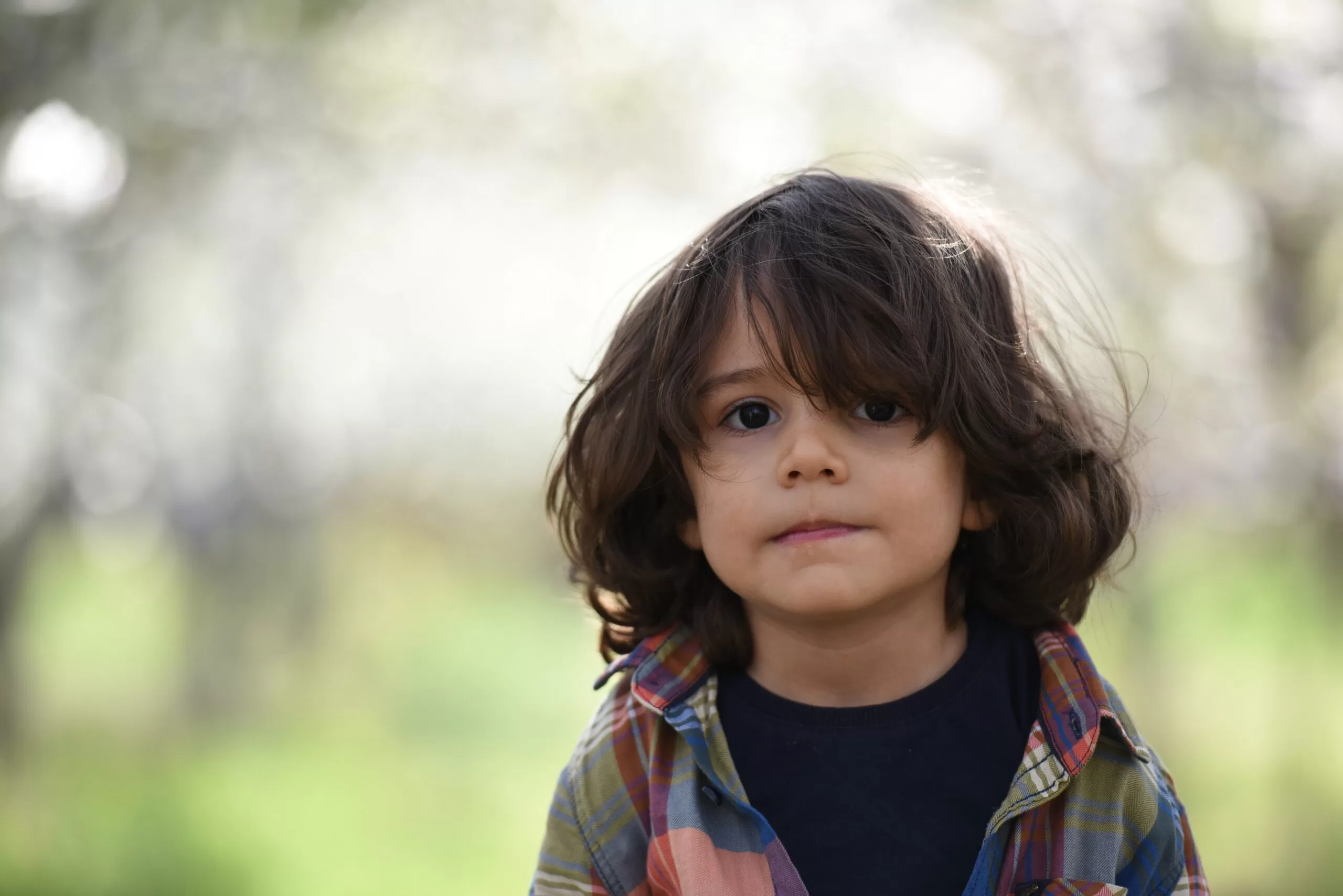 The Bad Impact of Divorce on Children in Maryland